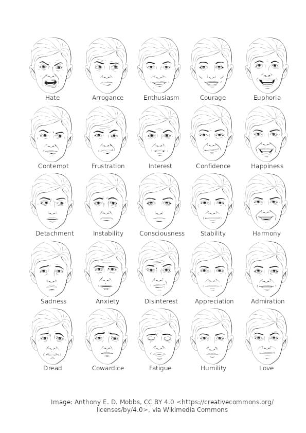 Emotions: The Hidden Force That Shapes Our Lives